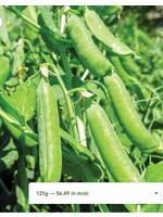 WestCoast Seeds Pea Bolero Shelling Pea