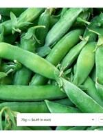 WestCoast Seeds Pea Super Sugar Snap