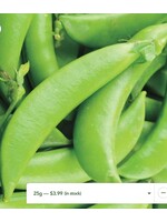WestCoast Seeds Pea Sugar Ann Snap Pea