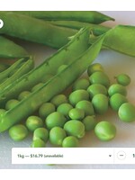 WestCoast Seeds Pea Green Arrow Shelling Pea