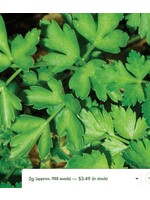 WestCoast Seeds Parsley Dark Green Italian