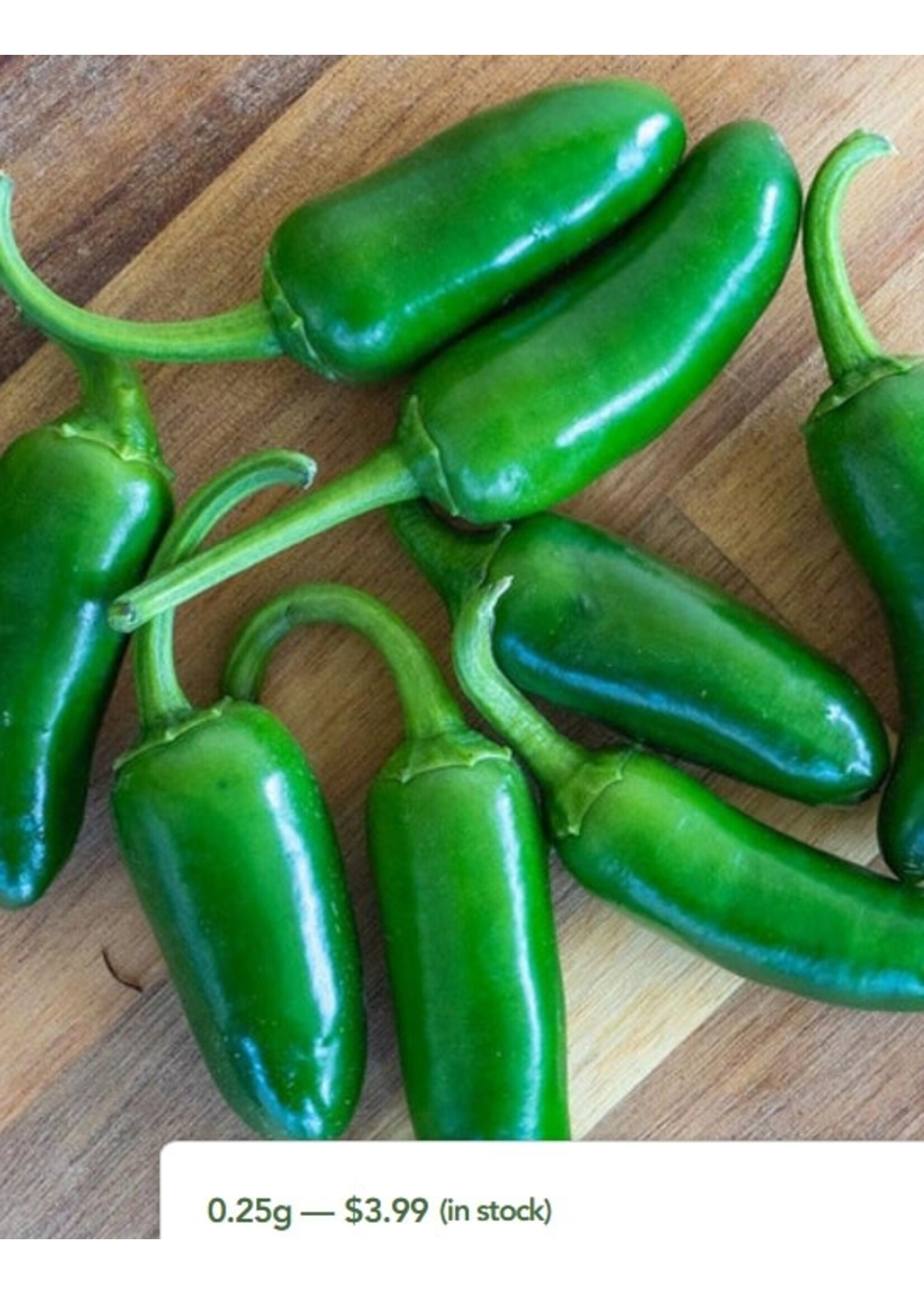 WestCoast Seeds Jalapeno M