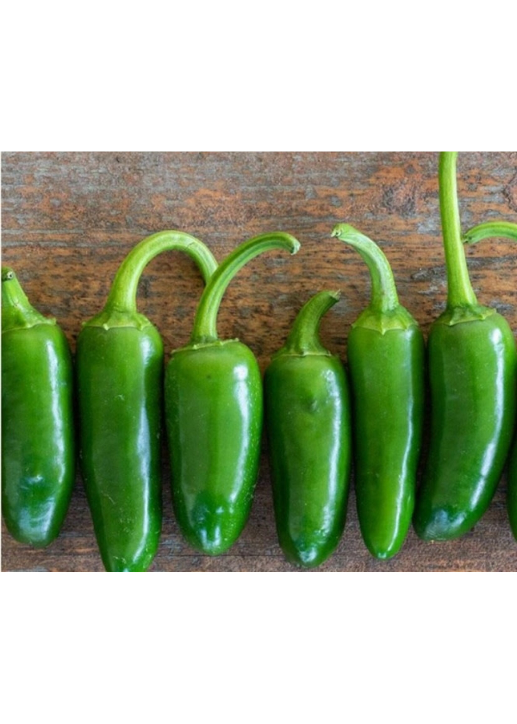 WestCoast Seeds Jalapeno M