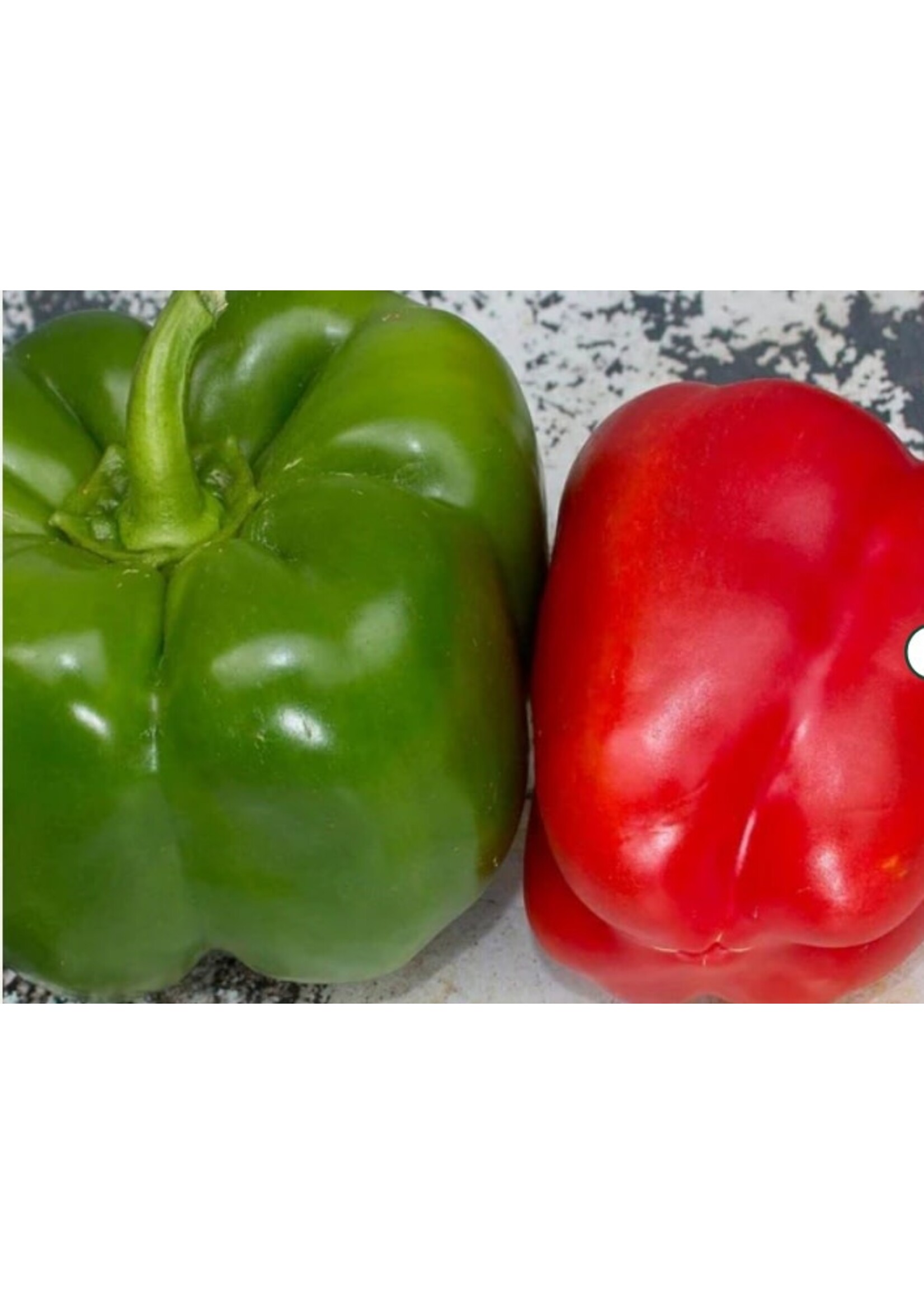 WestCoast Seeds Pepper California Wonder