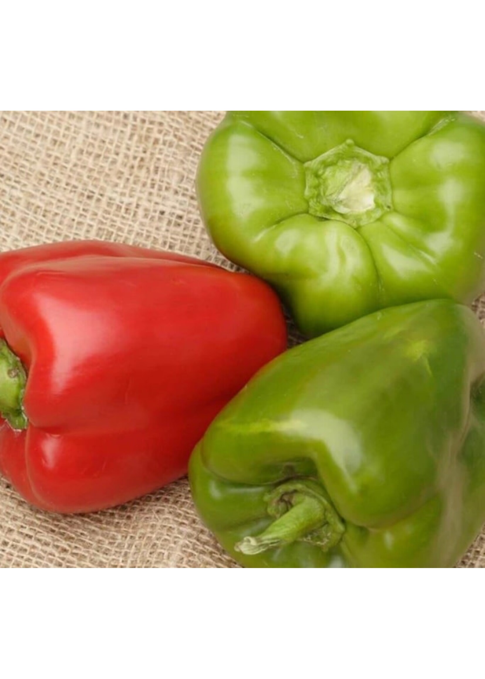 WestCoast Seeds Pepper California Wonder