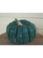 WestCoast Seeds Pumpkin Jade Knight F1