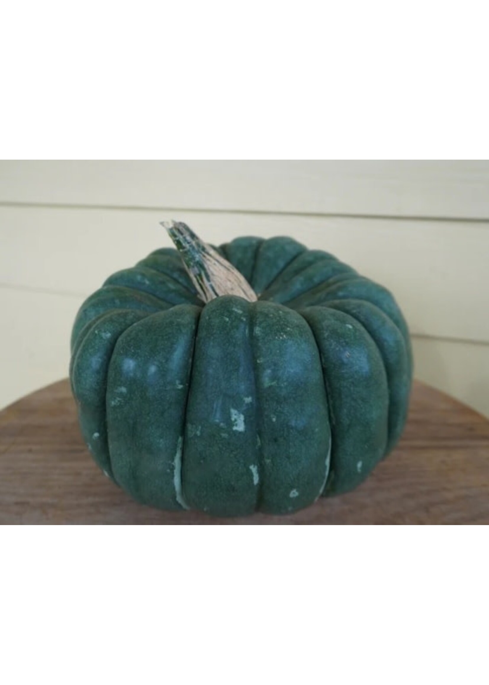WestCoast Seeds Pumpkin Jade Knight F1