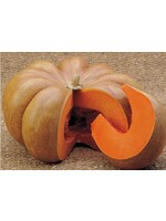 WestCoast Seeds Pumpkin Musquee d'Hiver de Provence
