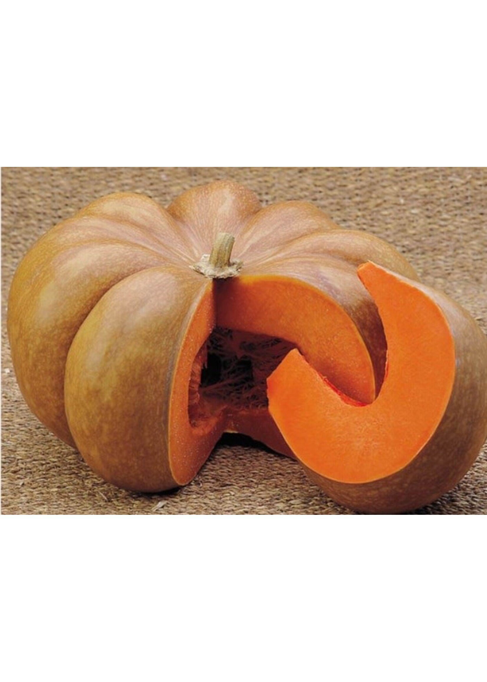 WestCoast Seeds Pumpkin Musquee d'Hiver de Provence