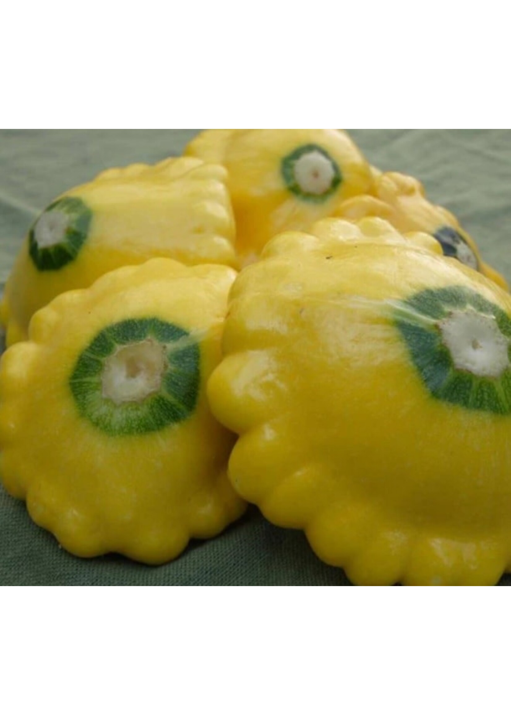 WestCoast Seeds Squash Sunburst