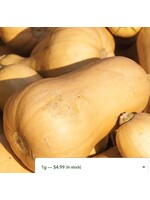 WestCoast Seeds Winter Squash Victory Early Butternut Squash