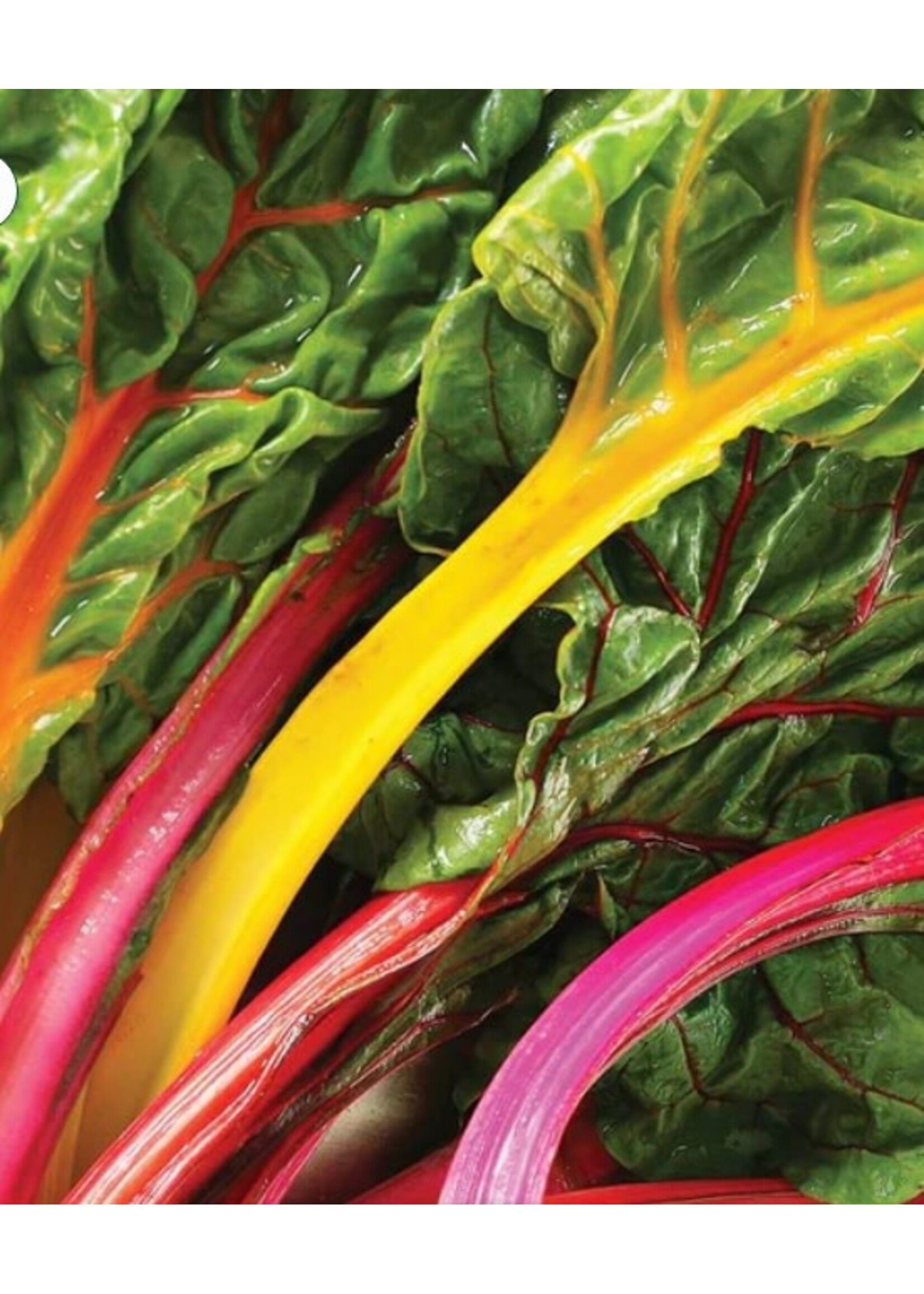 WestCoast Seeds Swiss Chard Celebration