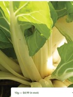 WestCoast Seeds Swiss Chard Fordhook Giant