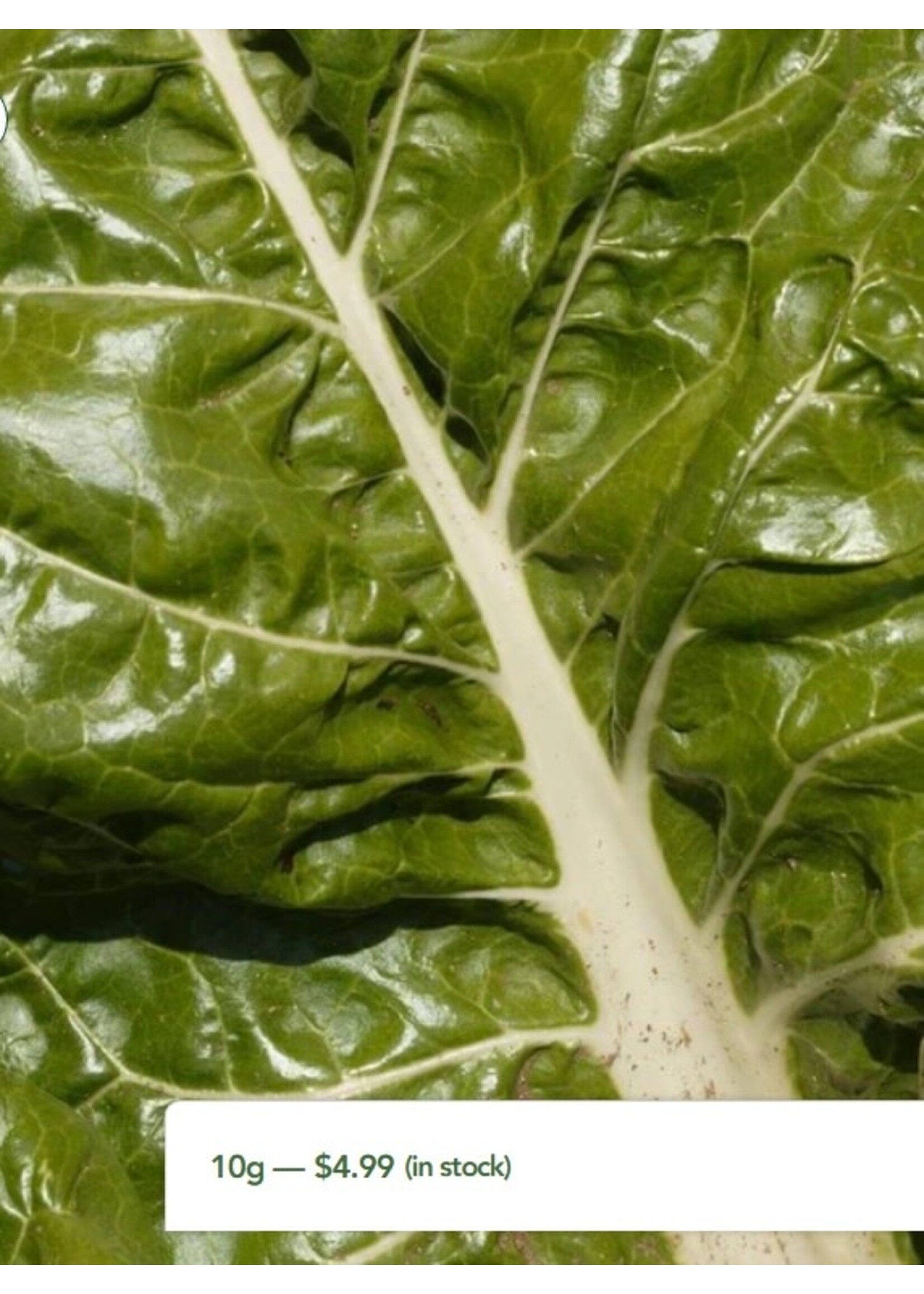 WestCoast Seeds Swiss Chard Fordhook Giant
