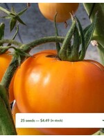 WestCoast Seeds Tomato Old German Organic