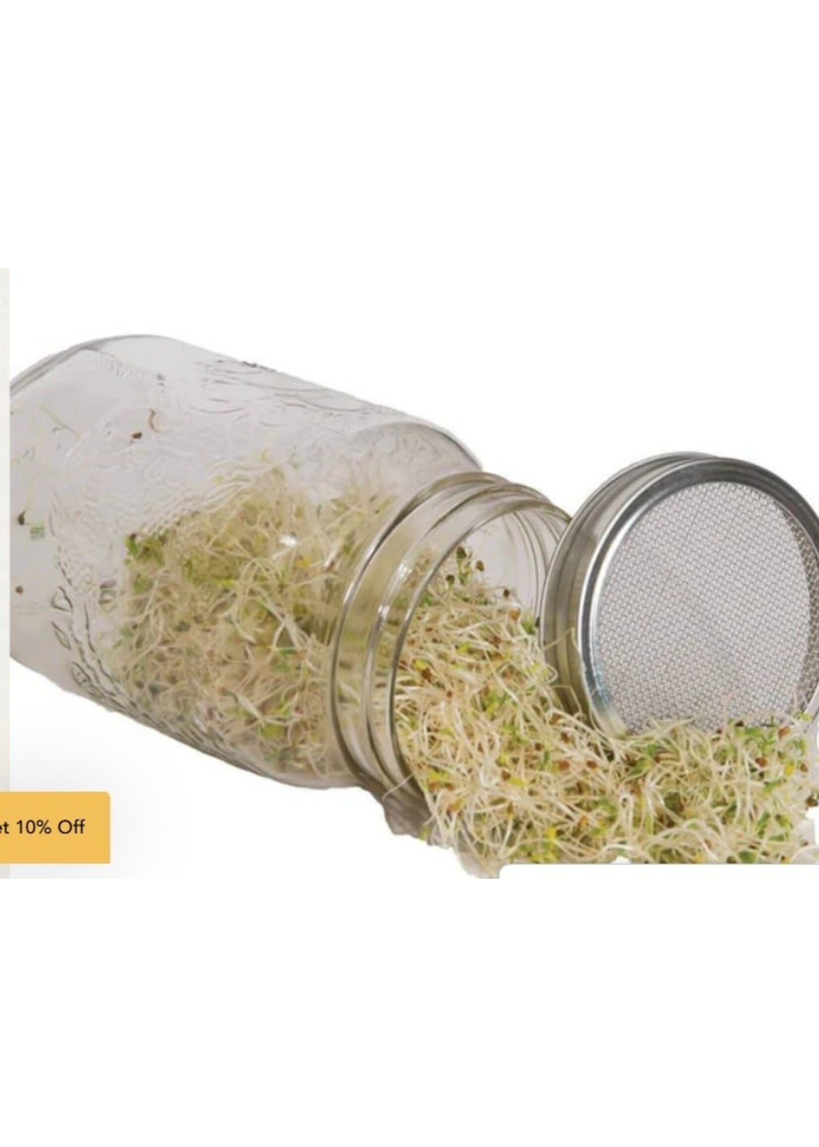 WestCoast Seeds Sprouting Jar with Metal Lid and Seeds