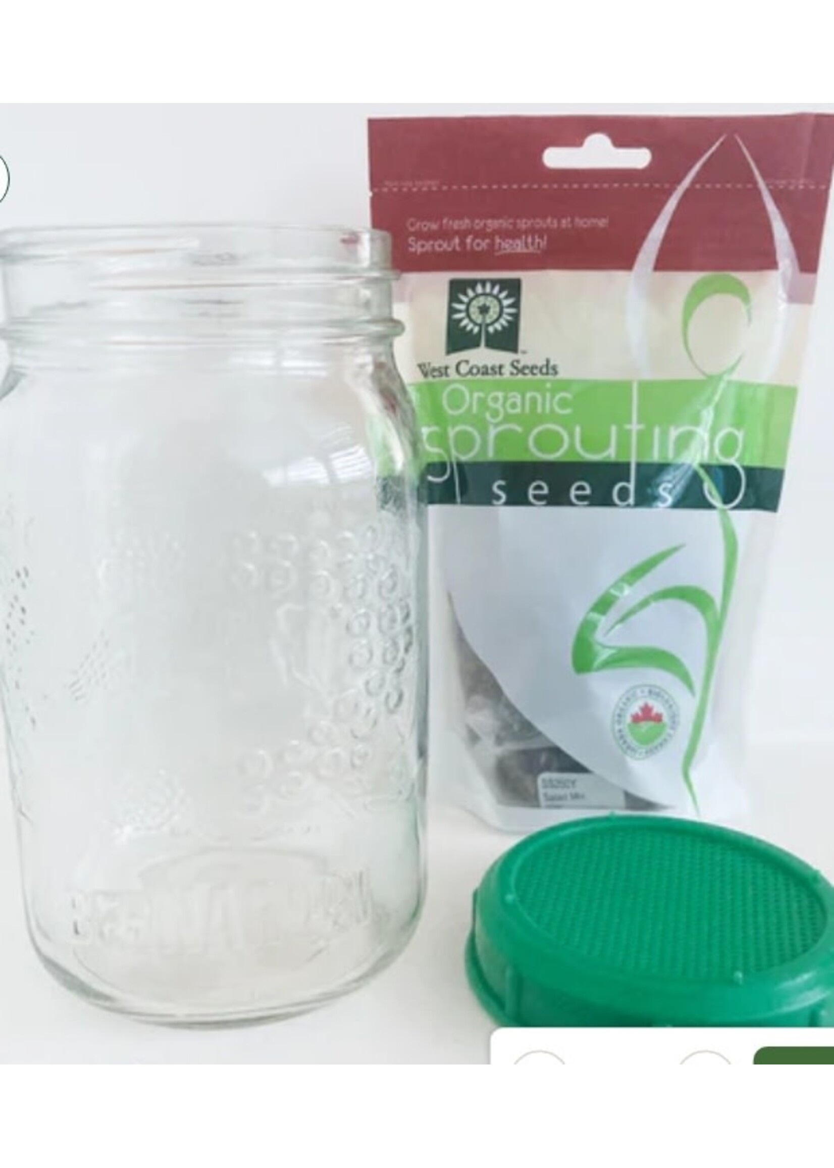 WestCoast Seeds Sprouting Jar with Plastic Lid and Seeds