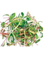 WestCoast Seeds Two Week Microgreen Seeds