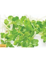 WestCoast Seeds Microgreen Arugula Seeds