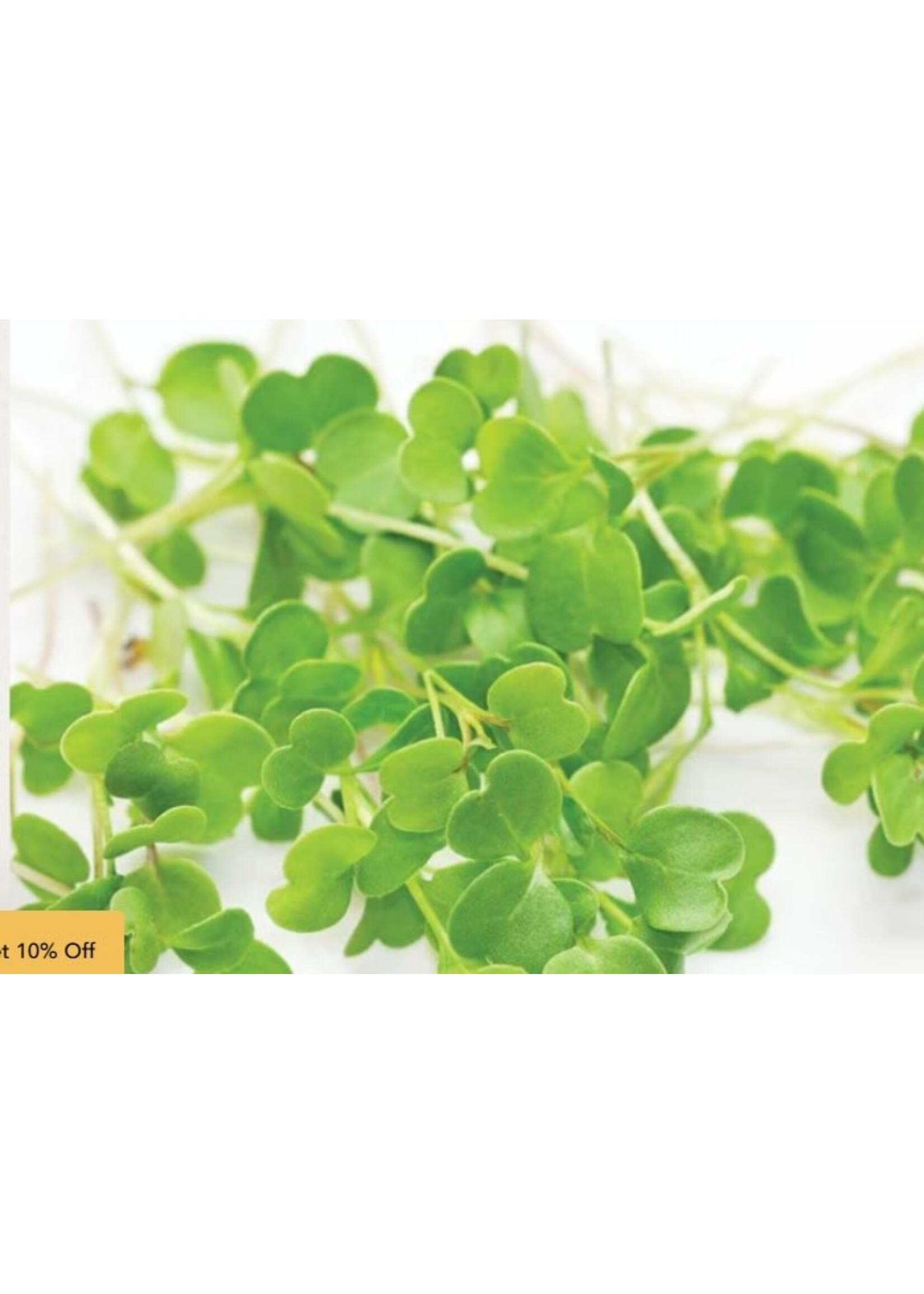 WestCoast Seeds Microgreen Arugula Seeds