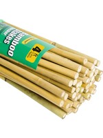 Bamboo 4ft stakes