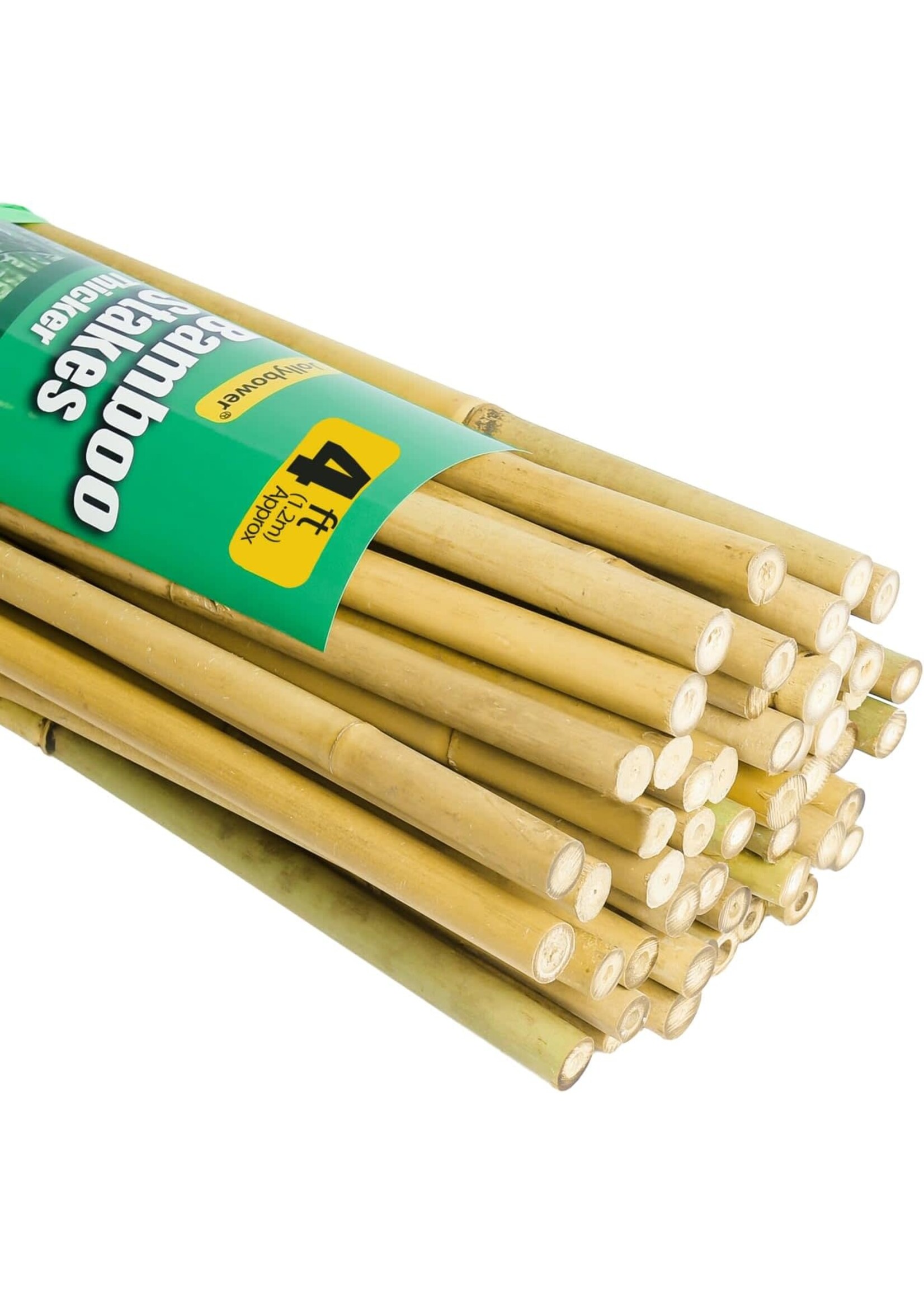 Bamboo 4ft stakes