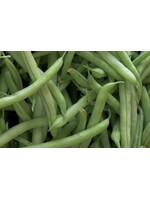 WestCoast Seeds Bean Kentucky Blue
