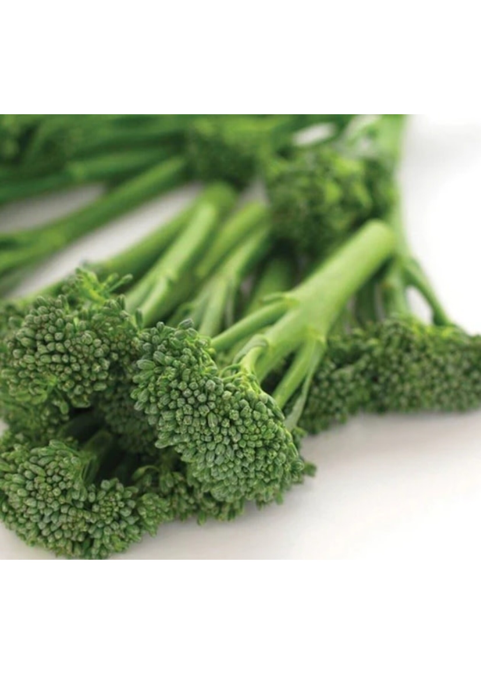 WestCoast Seeds Broccoli Aspabroc F1 Broccolini