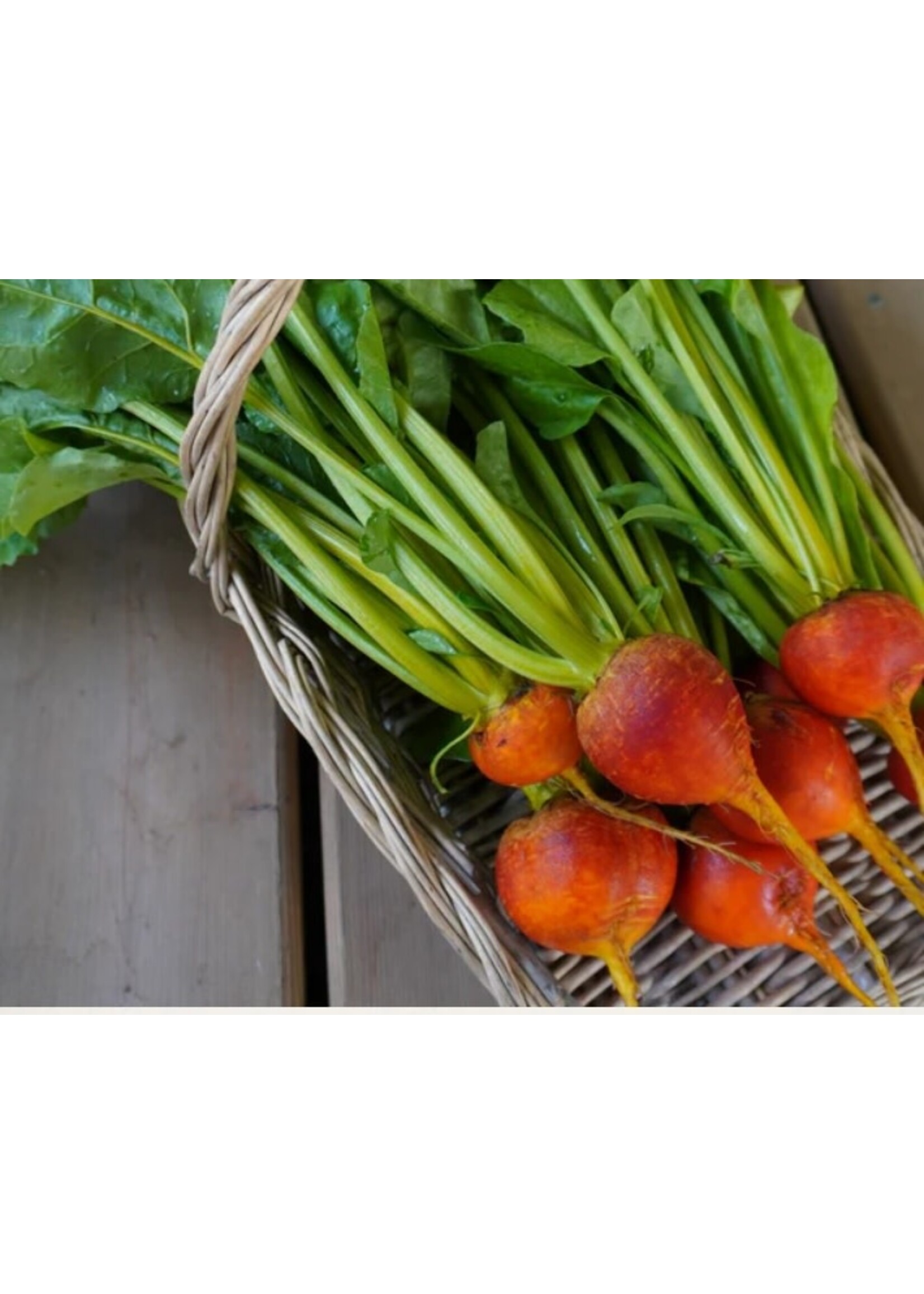 WestCoast Seeds Beet Golden Boy