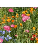 WestCoast Seeds Wild Flower Waterwise Blend