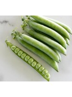 WestCoast Seeds Shelling Pea PLS 595 Organic