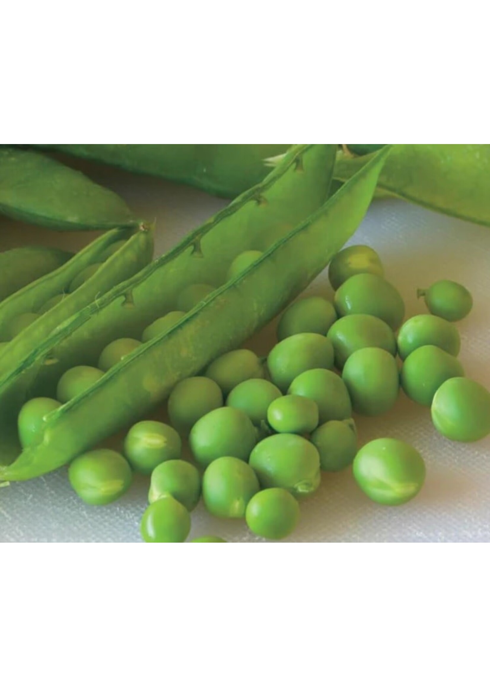 WestCoast Seeds Shelling Peas Green Arrow