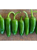 WestCoast Seeds Hot Pepper Jalapeno M