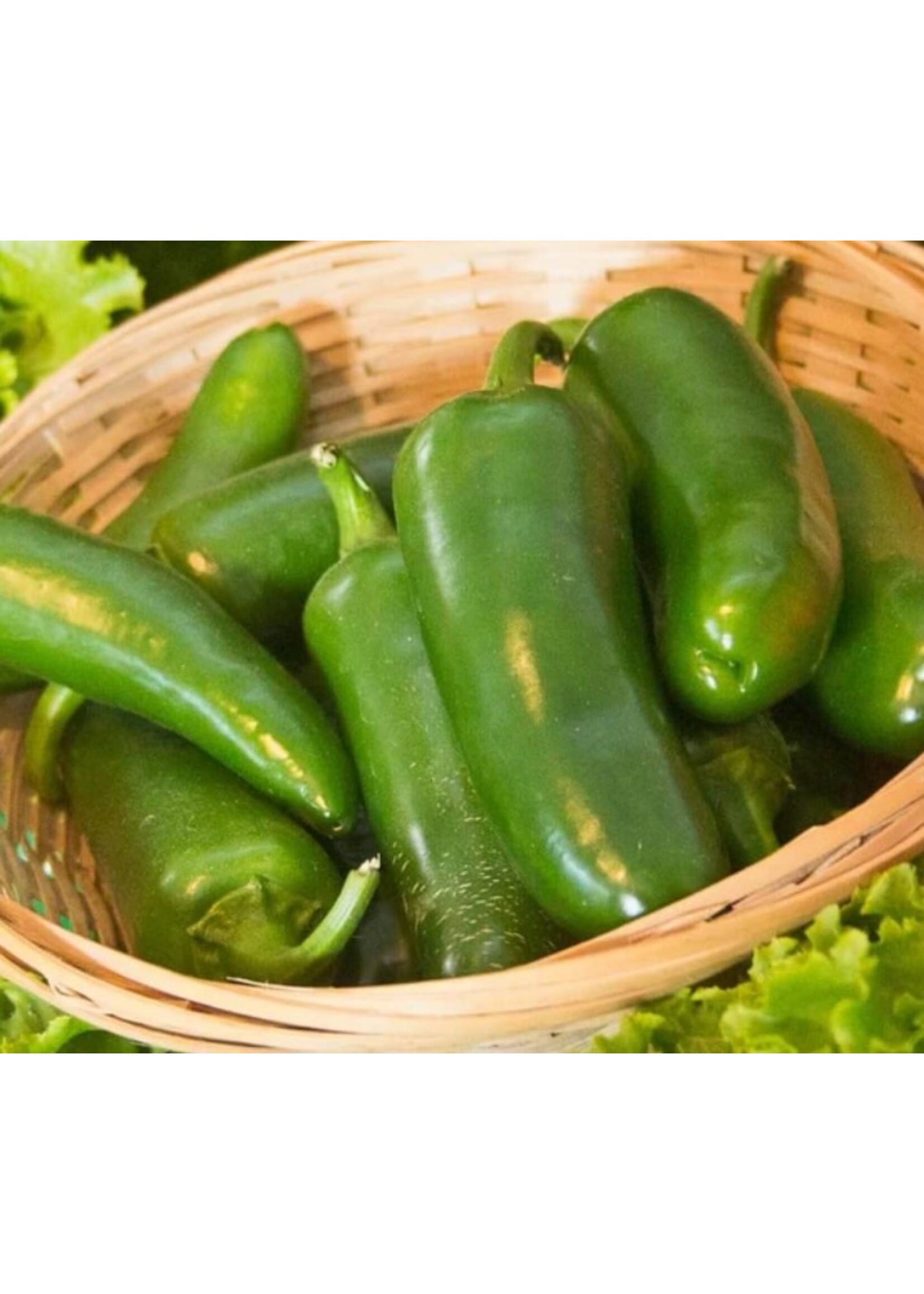 WestCoast Seeds Hot Pepper Jalapeno M