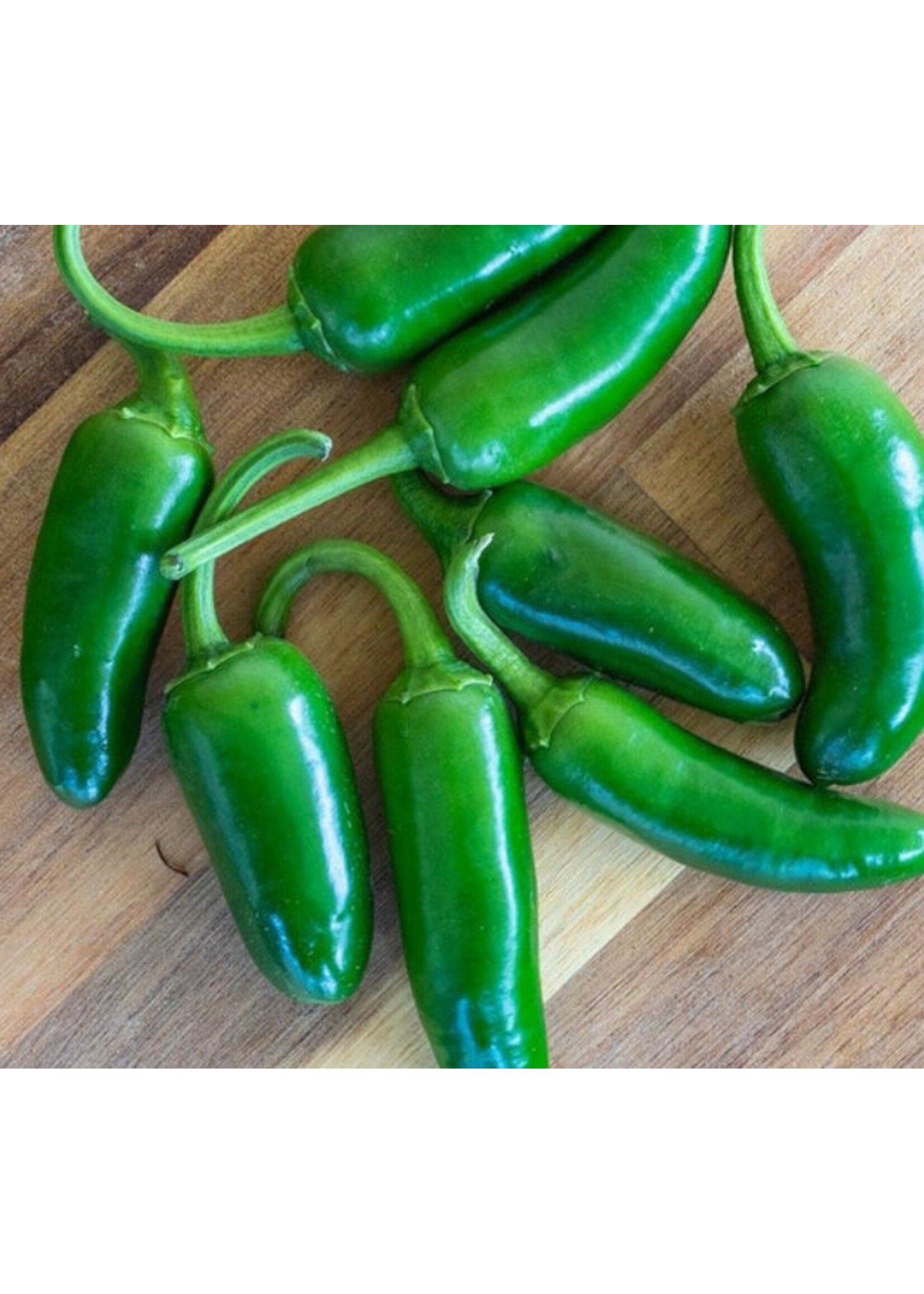 WestCoast Seeds Hot Pepper Jalapeno M