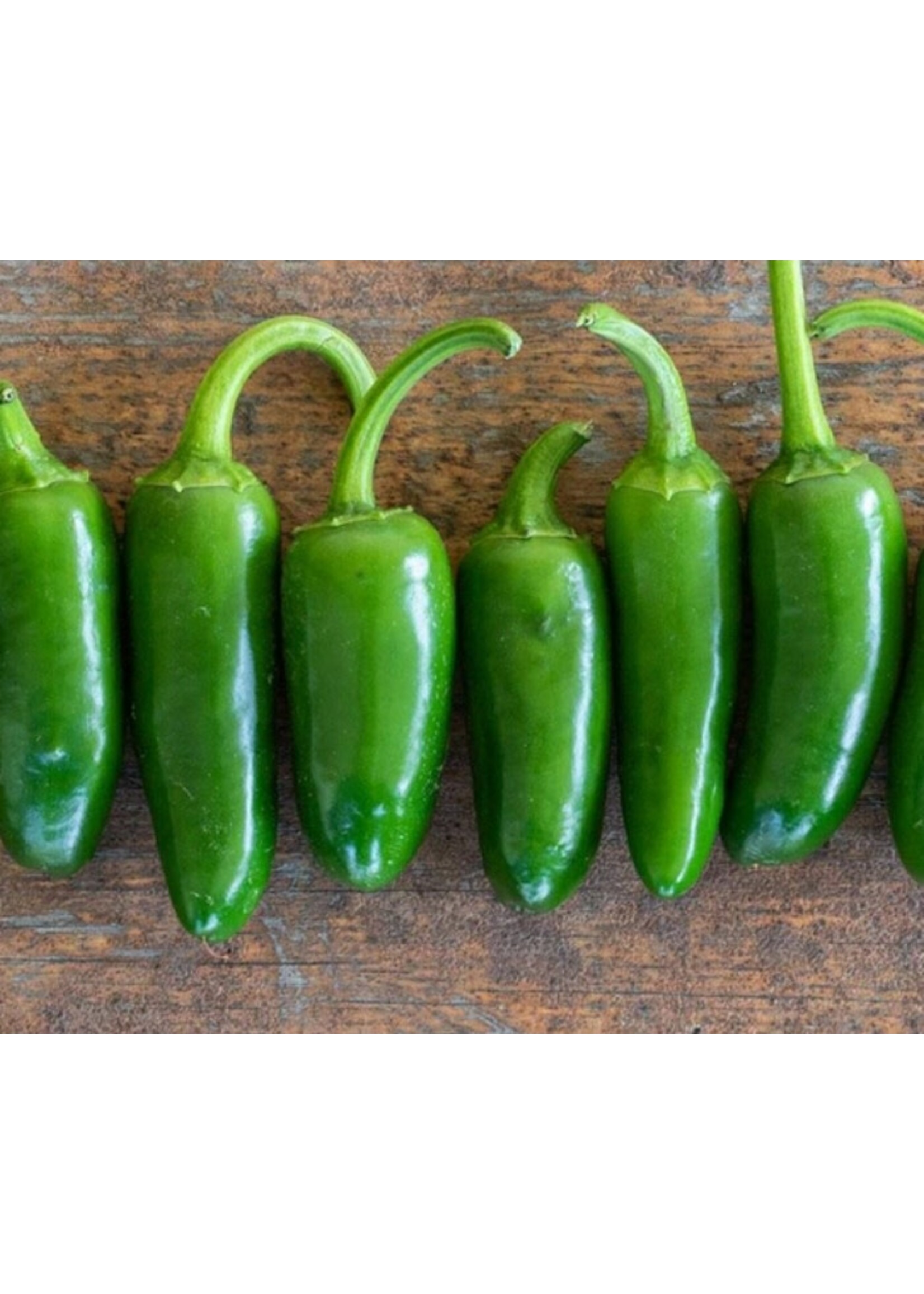 WestCoast Seeds Hot Pepper Jalapeno M