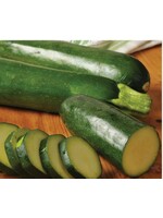 WestCoast Seeds Zucchini Jackpot F1