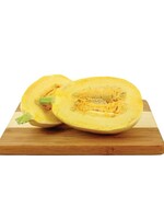 WestCoast Seeds Squash Small Wonder Spaghetti Squash
