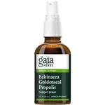 Gaia Herbs Professional Solutions Echinacea Goldenseal Propolis Throat Spray. 1oz (Gaia)