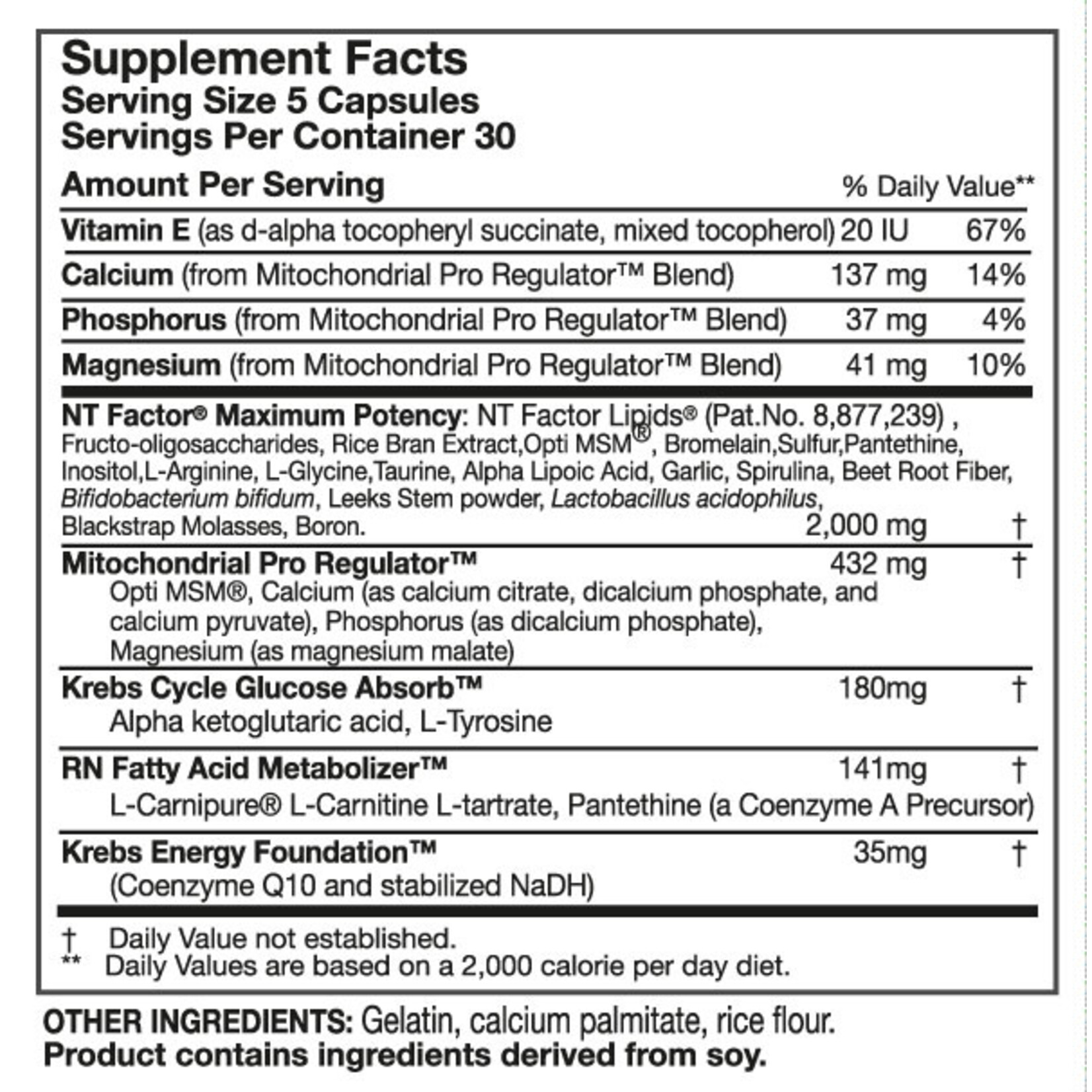 Researched Nutritionals ATP Fuel  (Researched Nutritionals)