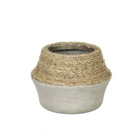 Nature Milk Jug Grass and Concrete Pot