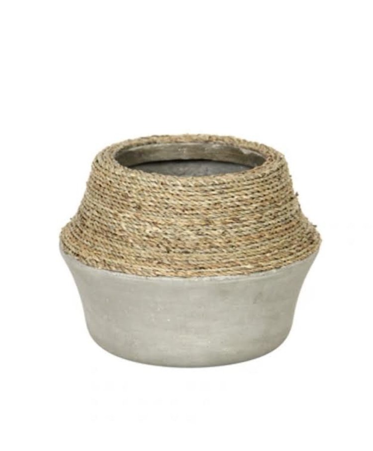 Nature Milk Jug Grass and Concrete Pot