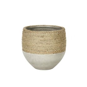 Nature Mixed Grass and Concrete Pot