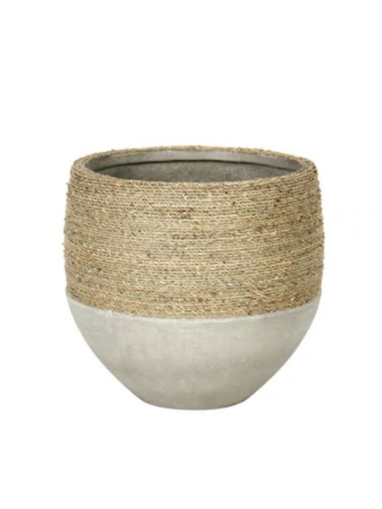 Nature Mixed Grass and Concrete Pot