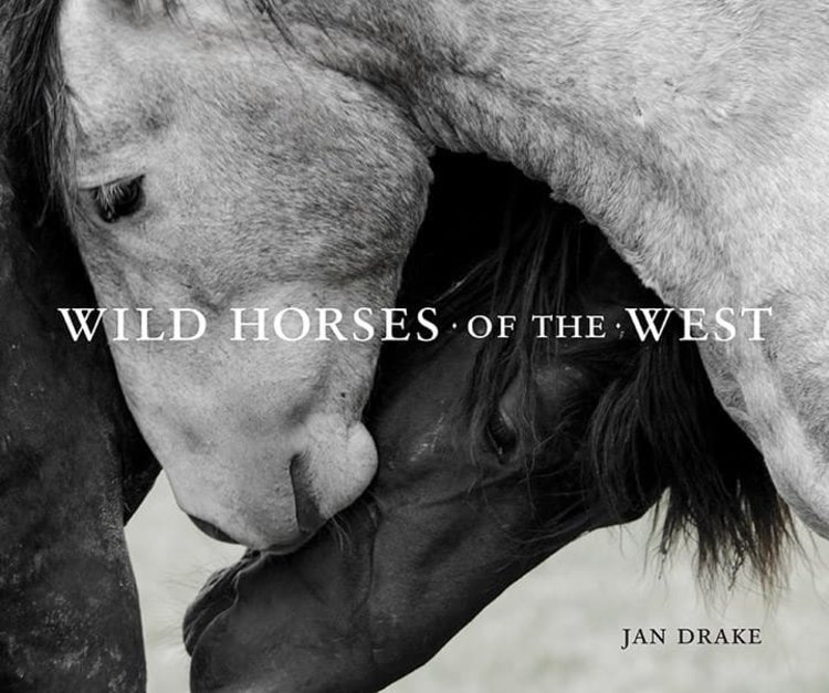 Wild Horses of the West Coffee Table Book