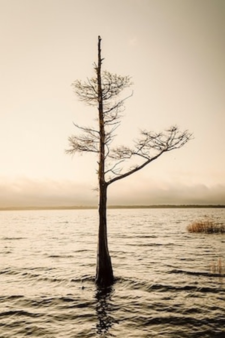 Escape from Daily III Painting