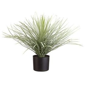 19"  Whipple Yucca- Green Flocked