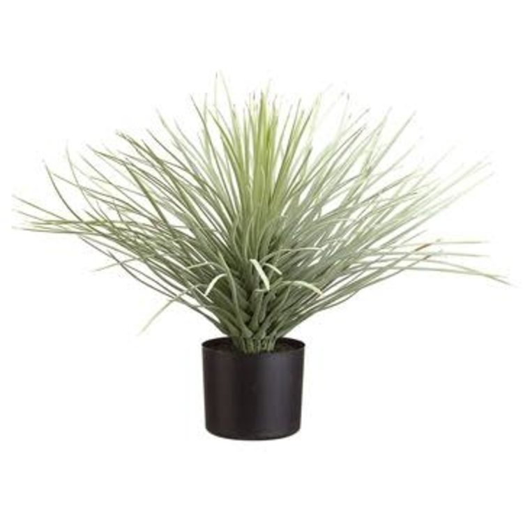 19"  Whipple Yucca- Green Flocked