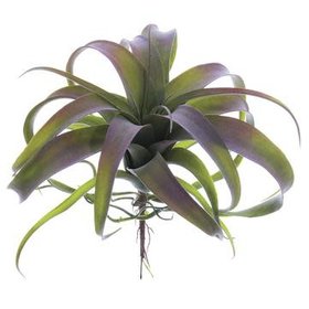10.5" Tillandsia Pick- Green Gray