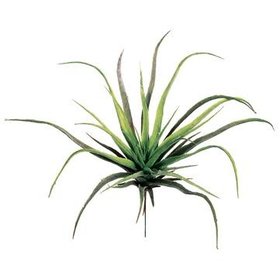 12.5" Medium Tillandsia Spray